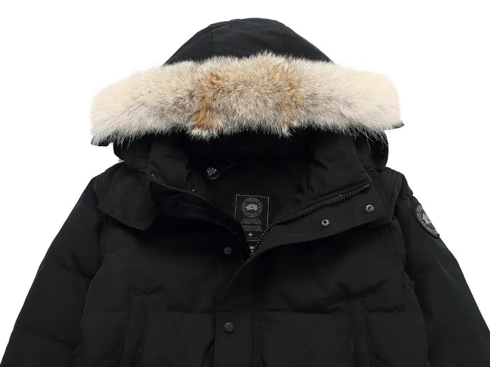 CG - PUFFER