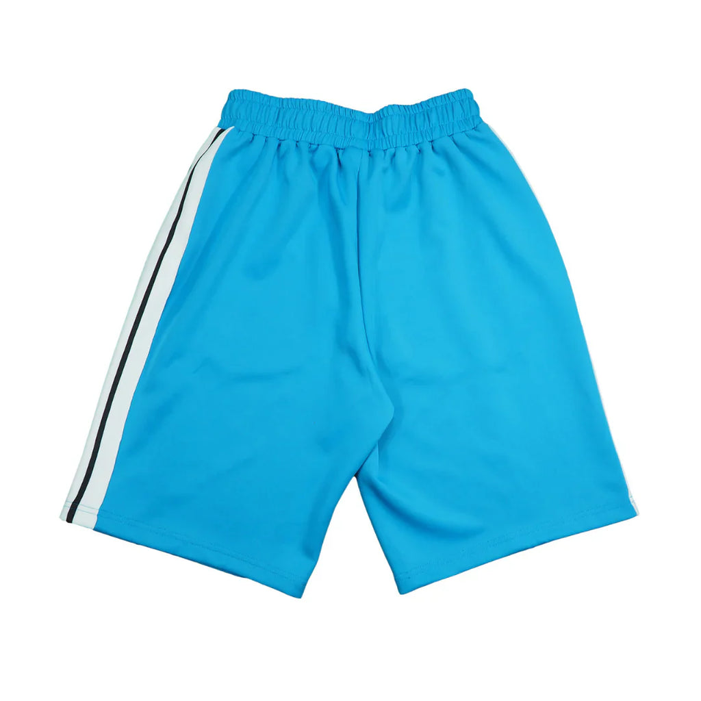 Palm Shorts